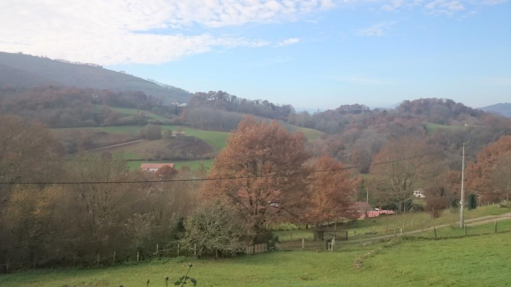 Apartamento Rural Oizalde Elizondo Dış mekan fotoğraf