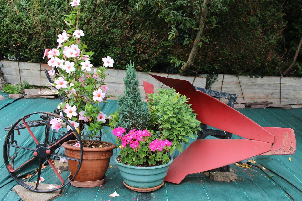 Apartamento Rural Oizalde Elizondo Dış mekan fotoğraf